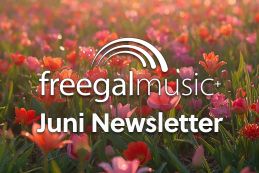 Freegal Music-Newsletter = Neuzugänge und interessante Playlists, etc.