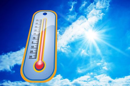 Thermometer-Foto